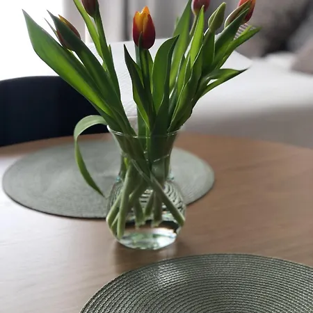 Lejlighed Metro Art Scandic